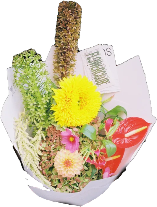 Wrapped bouquet with a yellow sunflower, red anthurium and a Flowerclub card