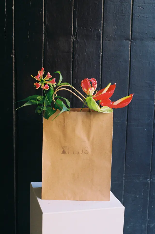 The FLOS Pak: a brown paper bag of stems on a white plinth