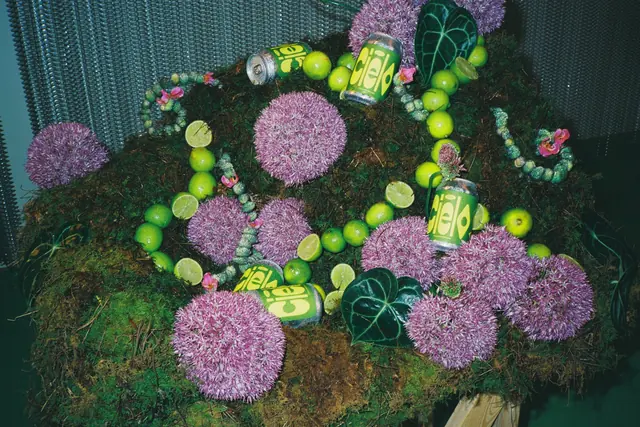 A moss bed with purple alliums and bright green spheres